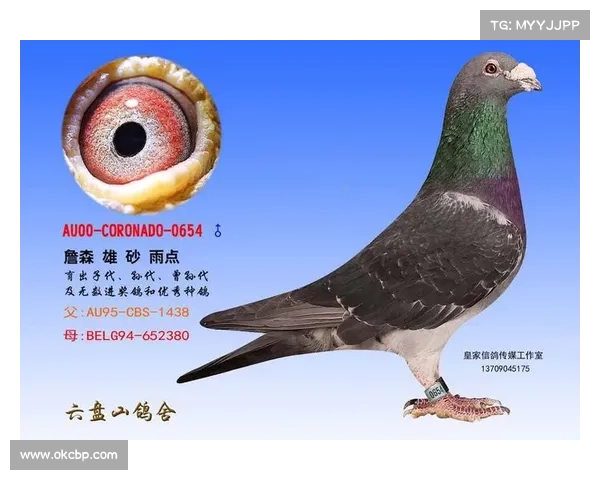 皇家新秀詹森敲出生涯首安打带回打点实现儿时梦想圆梦球场